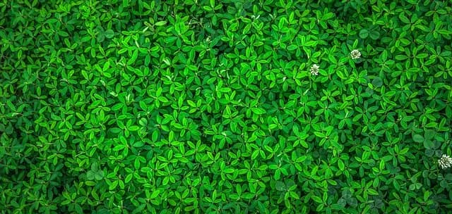 Top 5 Eco-Friendly Next Generation Gadgets to Consider